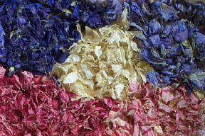 delphinium petal confetti