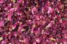 rose petal confetti burgundy