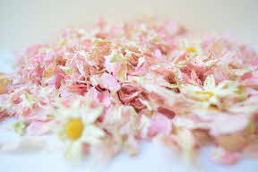 dried flower petal confetti meghan