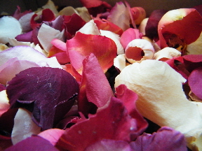 freeze dried rose petals mixed